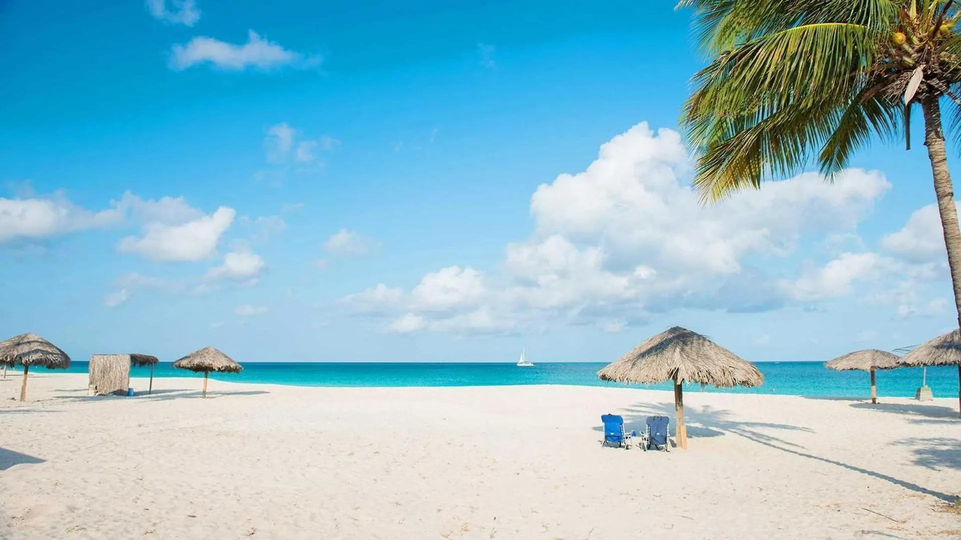 Holiday home Beachfront - Sapphire Vista 3Br Condo - A247 Palm Beach