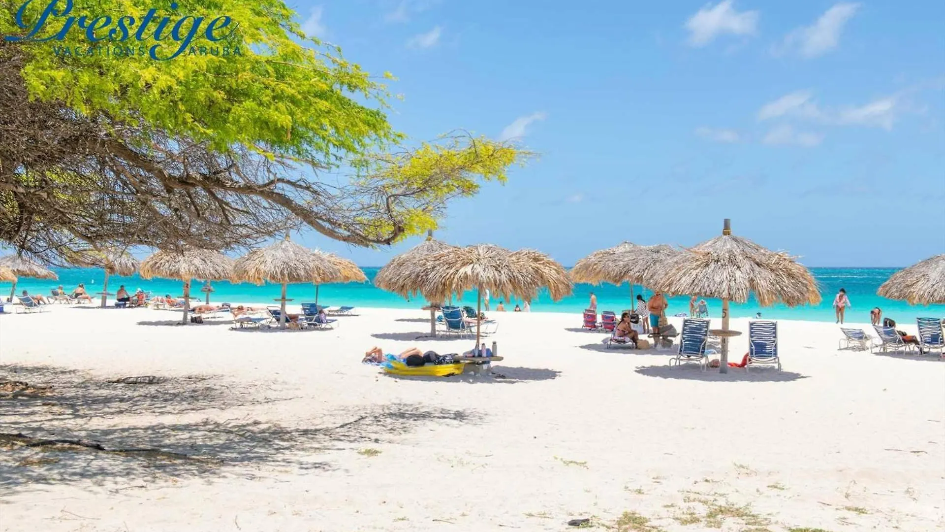 Beachfront - Sapphire Vista 3Br Condo - A247 Palm Beach 0*,  Aruba